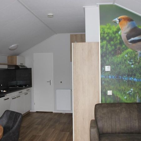 De Bijsselse Enk, Noors Chalet 9 Nunspeet Ngoại thất bức ảnh